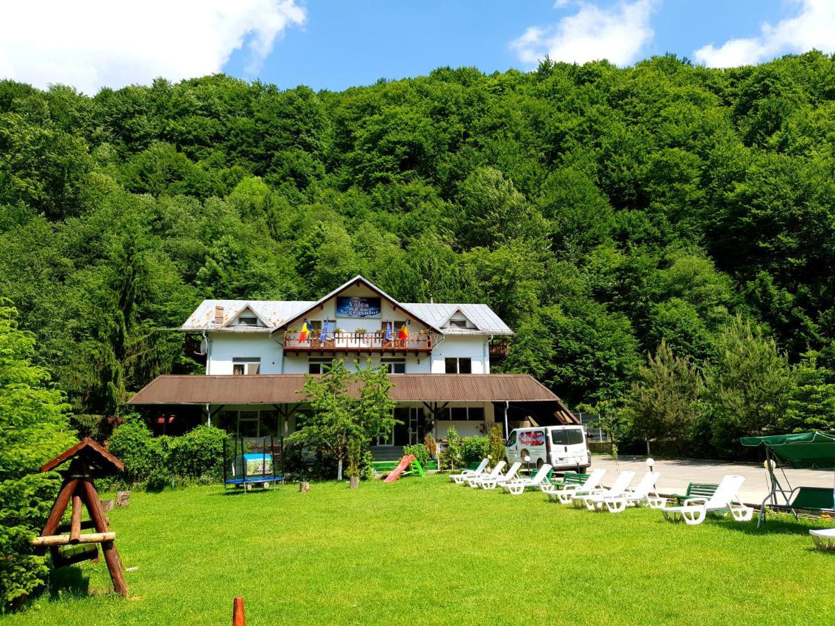 Pensiunea Valea Negrasului Traisteni Exterior photo