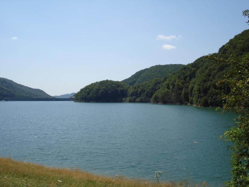 Pensiunea Valea Negrasului Traisteni Exterior photo